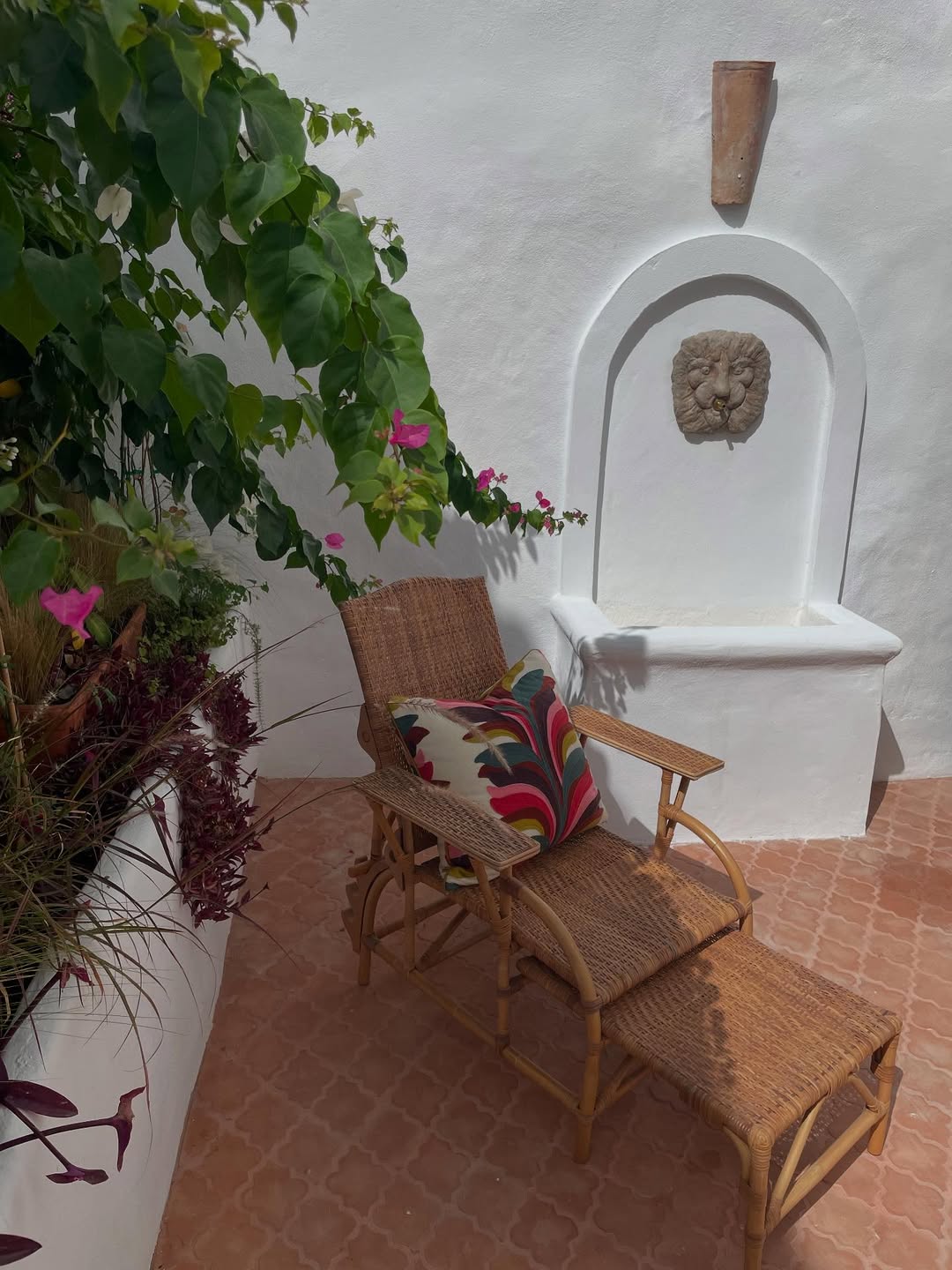diseño y ejecución patio